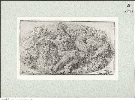 Vorderseite von bh346014_recto