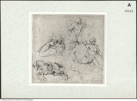 Vorderseite von bh346017_recto