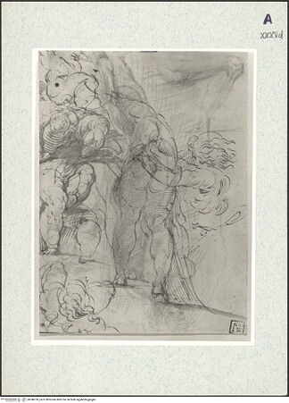 Vorderseite von bh346018_recto