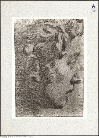 Vorderseite von bh346039_recto