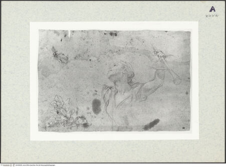 Vorderseite von bh346060_recto