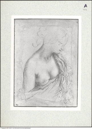 Vorderseite von bh346071_recto