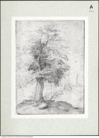 Vorderseite von bh346074_recto