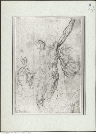 Vorderseite von bh346169_recto