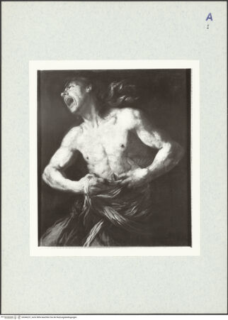 Vorderseite von bh346237_recto