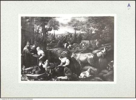 Vorderseite von bh346248_recto