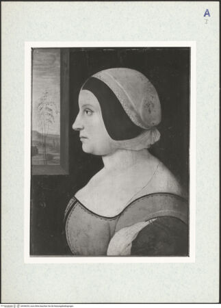 Vorderseite von bh346253_recto