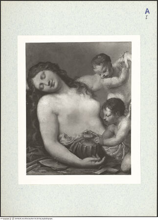 Vorderseite von bh346260_recto