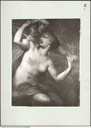 Vorderseite von bh346273_recto