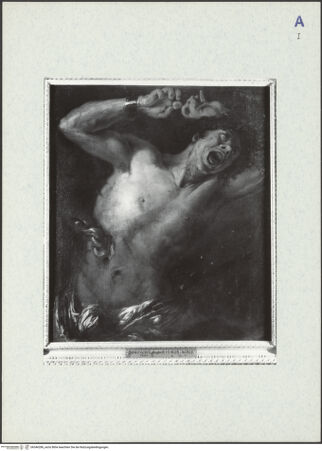 Vorderseite von bh346286_recto