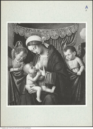 Vorderseite von bh346354_recto