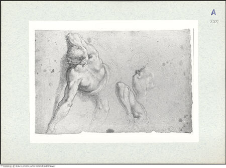 Vorderseite von bh346373_recto