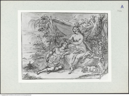 Vorderseite von bh346388_recto