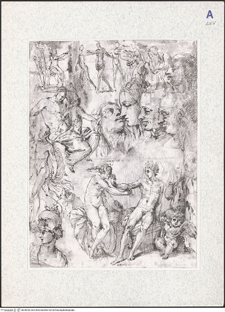 Vorderseite von bh346420_recto