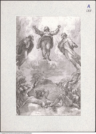 Vorderseite von bh346464_recto