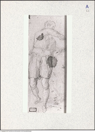 Vorderseite von bh346466_recto