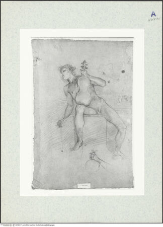 Vorderseite von bh346517_recto