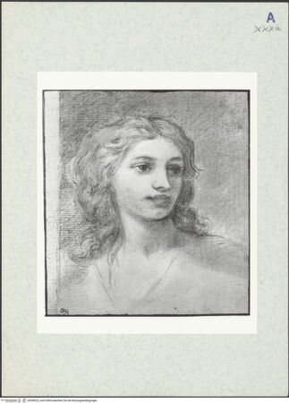 Vorderseite von bh346523_recto