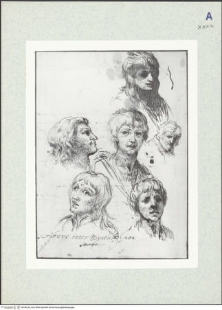 Vorderseite von bh346524_recto