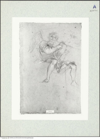 Vorderseite von bh346525_recto