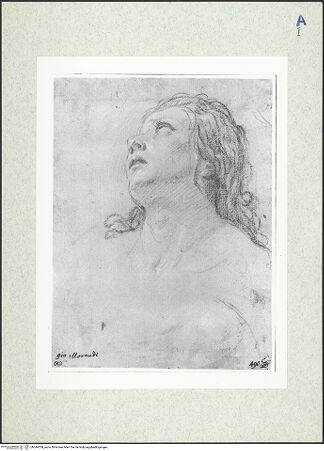 Vorderseite von bh346559_recto