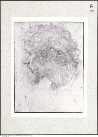 Vorderseite von bh346561_recto