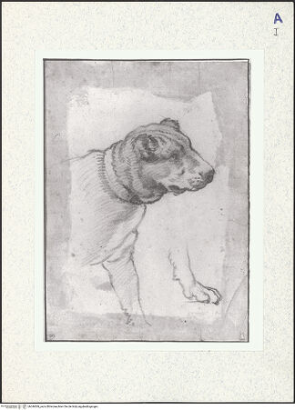 Vorderseite von bh346569_recto