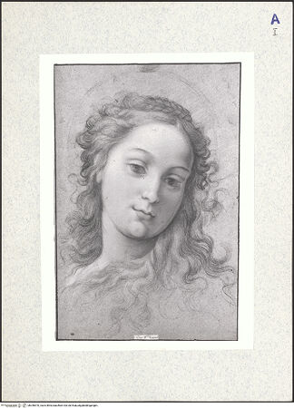 Vorderseite von bh346570_recto