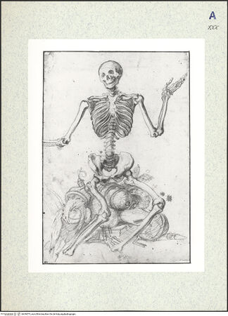 Vorderseite von bh346573_recto