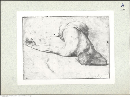 Vorderseite von bh346574_recto