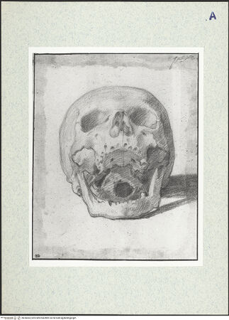 Vorderseite von bh346583_recto