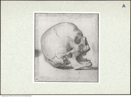 Vorderseite von bh346584_recto