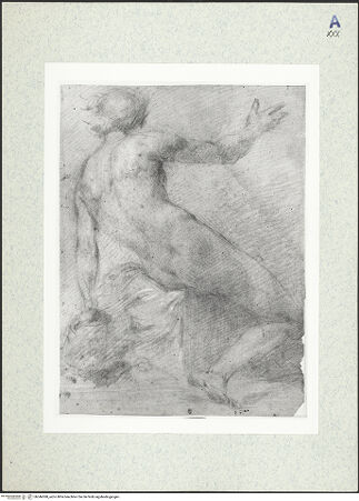 Vorderseite von bh346588_recto