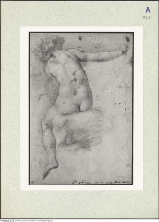 Vorderseite von bh346589_recto