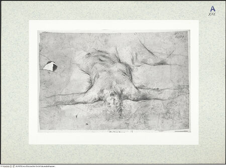 Vorderseite von bh346594_recto