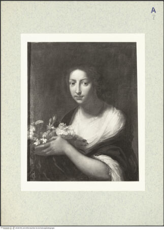 Vorderseite von bh346789_recto