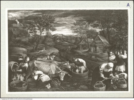 Vorderseite von bh346805_recto