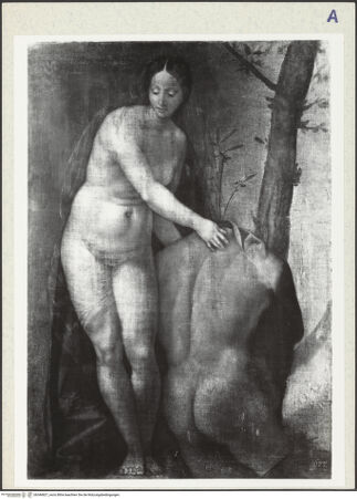 Vorderseite von bh346827_recto