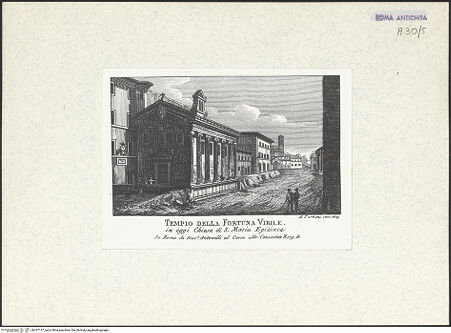 Vorderseite von bh347117_recto