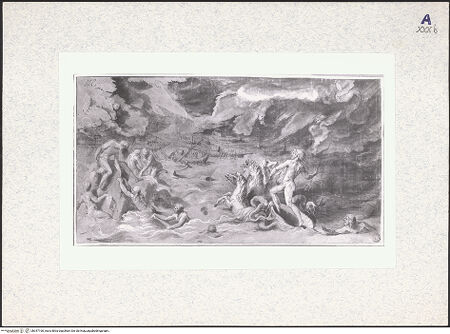 Vorderseite von bh347160_recto