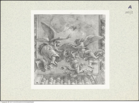 Vorderseite von bh347176_recto