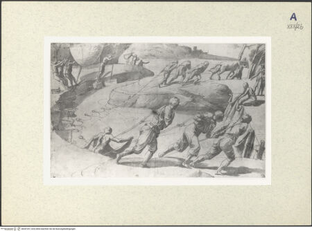 Vorderseite von bh347207_recto