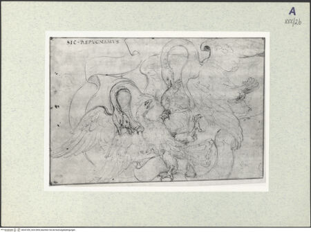 Vorderseite von bh347209_recto