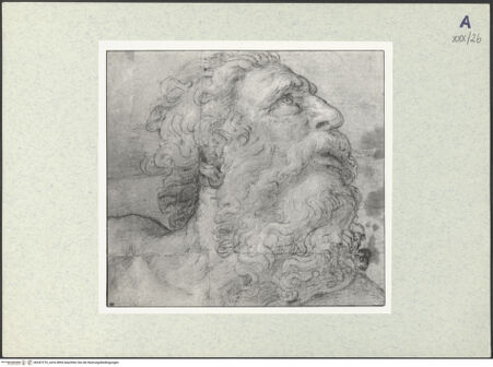 Vorderseite von bh347210_recto