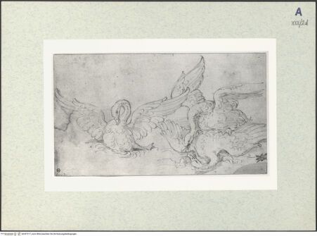 Vorderseite von bh347217_recto