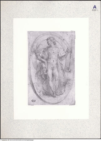 Vorderseite von bh347228_recto