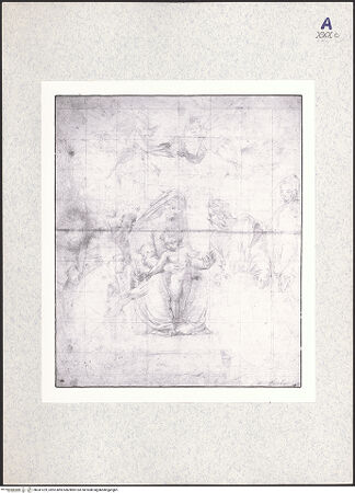 Vorderseite von bh347229_recto