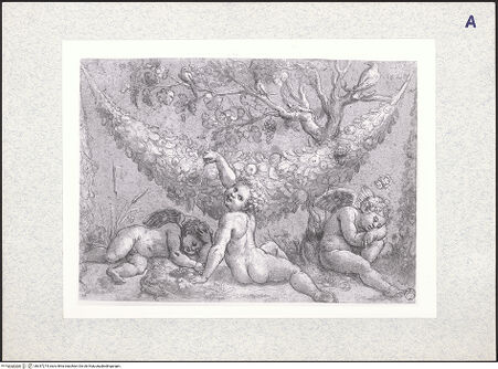 Vorderseite von bh347274_recto