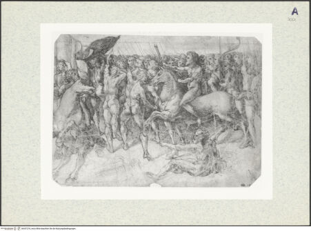 Vorderseite von bh347276_recto