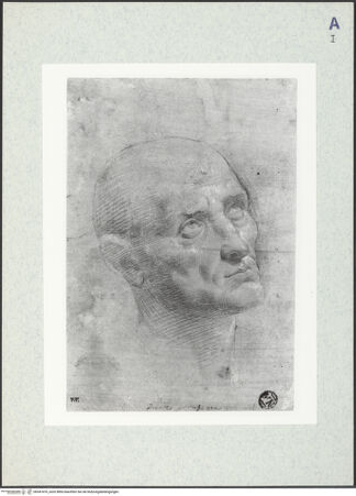 Vorderseite von bh347476_recto